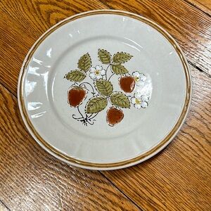 Americana Hearthside Stoneware 10” dinner plate.  Berries ‘N Cream pattern.